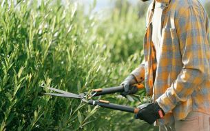 must-have-tools-for-beginner-gardeners-from-hoselink
